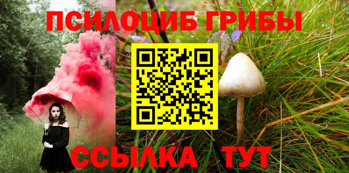 Саяногорск  Галлюциногенные грибы MAGIC MUSHROOMS  Вход с VPN 